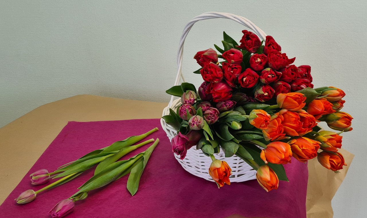 Букет из 7 тюльпанов, декоративная пленка, лента (заказ от 15 букетов) - фото 5 - id-p173405508