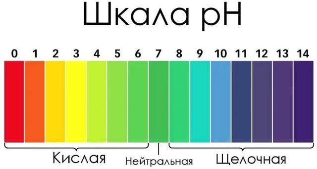 профессиональная химия для уборки 