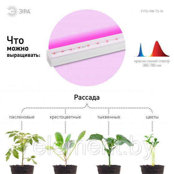 Светильник лампа для рассады домашний Фито красно-синего спектра фитолампа освещение для выращивания растений - фото 4 - id-p218602770