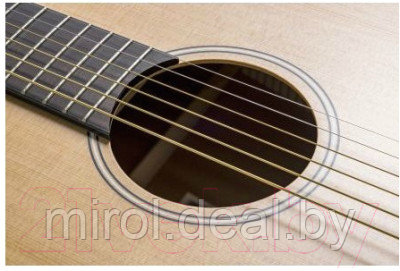 Акустическая гитара Baton Rouge L1LS/D - фото 6 - id-p222917553
