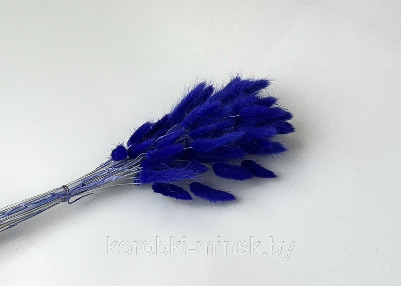 Сухоцвет "Лагурус" (60 веток в пачке) размер цветка 5-7 см. Фиолетовый