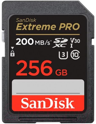 Карта памяти SanDisk SDXC Extreme Pro Class 10 256GB (SDSDXXD-256G-GN4IN) - фото 1 - id-p222928277