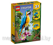 31136 LEGO Creator Экзотический попугай