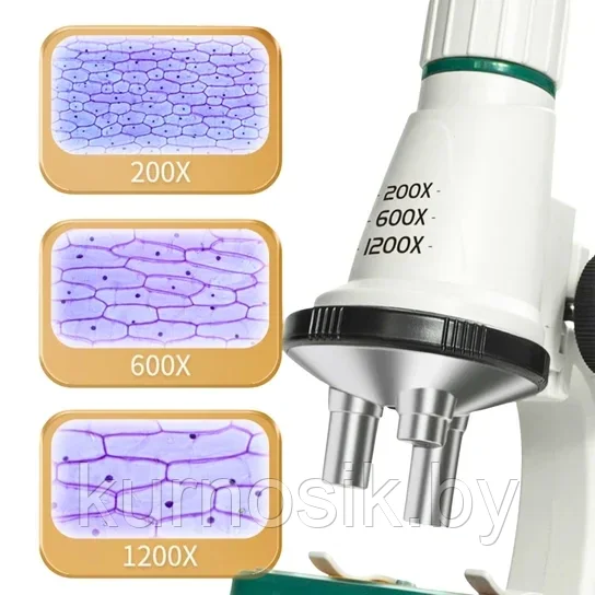 Микроскоп игрушечный с увеличением до 200x, 600х и 1200x, зеленый - фото 5 - id-p222958689