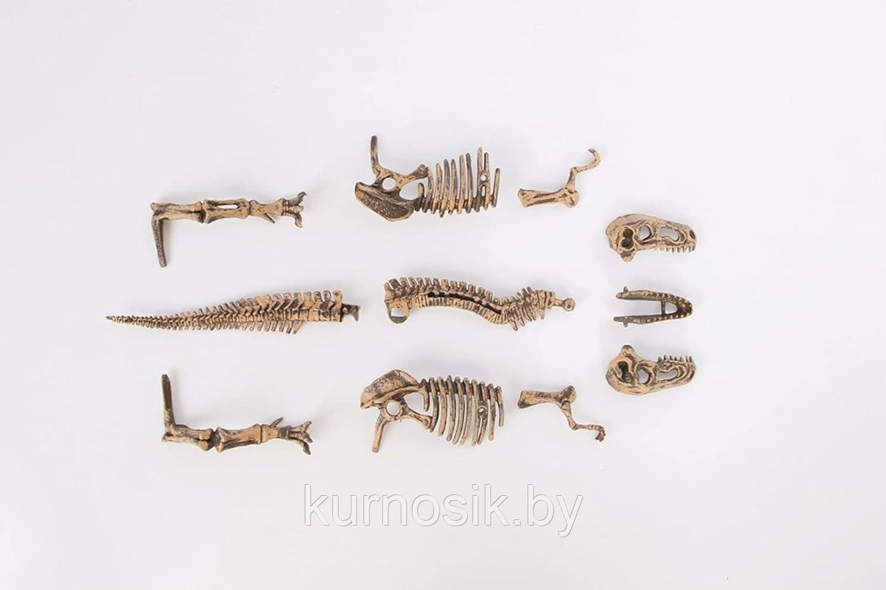 Археологические раскопки для детей Тираннозавр Рекс, K737-H - фото 5 - id-p222958773