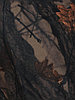 Спальный мешок HUNTSMAN Standart цвет Темный Леc ткань Alova, фото 6