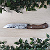 Нож разделочный Кизляр Норд, рукоять - дерево (с рисунком), фото 4