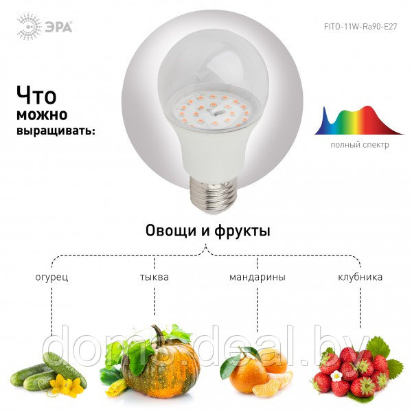 Фитолампа светодиодная полного спектра FITO-11W-Ra90-E27 Эра 23521 - фото 6 - id-p222978026