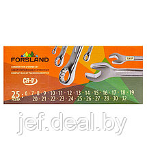 Ключи комбинированные набор 25 предметов FORSLAND Forsland-5261P, фото 3
