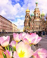 «МОЙ ПИТЕР» ВСЕ ВКЛЮЧЕНО №1  2025  из Гомеля,  Могилева, Витебска  и Орши