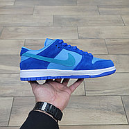 Кроссовки Nike Dunk Low Pro SB Fruity Pack Blue Raspberry, фото 2