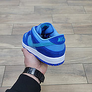 Кроссовки Nike Dunk Low Pro SB Fruity Pack Blue Raspberry, фото 4