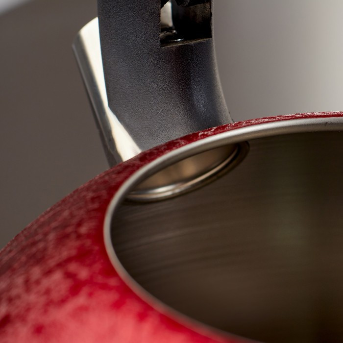 Чайник со свистком из нержавеющей стали Доляна Snow, 3 л, индукция, цвет красный - фото 4 - id-p223000680