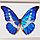 Бабочка Морфо Елена, арт.: 54с, фото 3