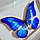 Бабочка Морфо Елена, арт.: 54с, фото 4