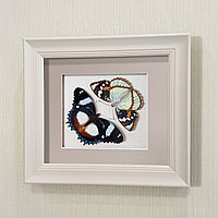 Бабочки Французский триколор и  жемчужница Шренка, арт.: 70-76а