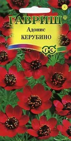 Адонис Керубино 0,2г Гавриш