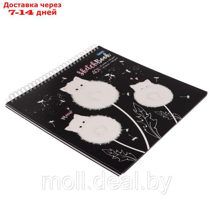 Скетчбук 240 х 240 мм, 40 листов чёрная бумага, 20 листов белая бумага, на гребне "Одуванчиковые коты", - фото 2 - id-p222988102