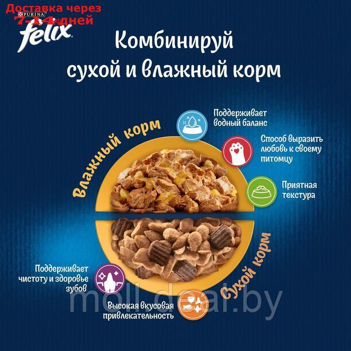 Сухой корм FELIX "Мясное объедение", курица, 1.3 кг - фото 4 - id-p222988105