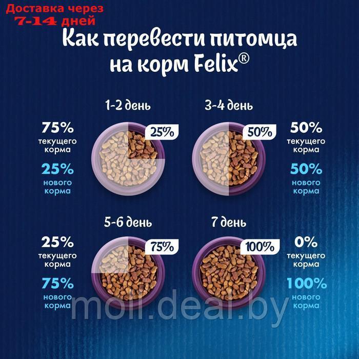Сухой корм FELIX "Мясное объедение", курица, 1.3 кг - фото 6 - id-p222988105