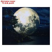 Картина световая "Полная луна" 40*50 см