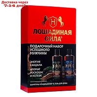 Подарочный набор для мужчин Лошадиная сила: шампунь, 500 мл + гель для душа, 500 мл