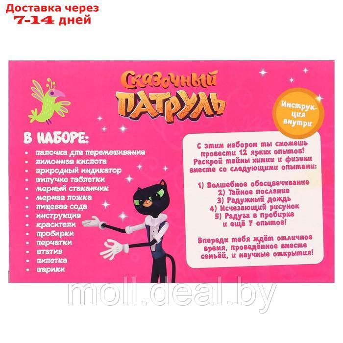 Набор для опытов "Волшебство науки, большой набор" 12 опытов, Сказочный патруль - фото 5 - id-p222991546