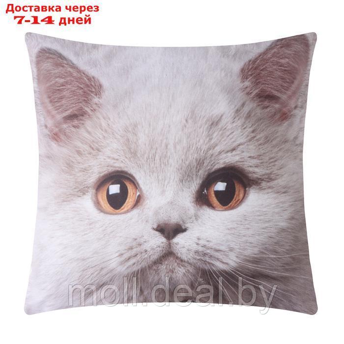 Подушка декоративная "Серый котик" - фото 1 - id-p222992611