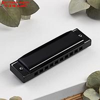 Губная гармошка Bee DF10A Black