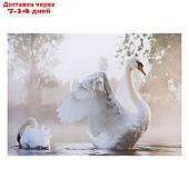 Картина "Лебеди" 50*70 см