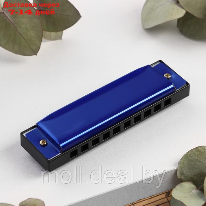 Губная гармошка Bee DF10A Blue - фото 1 - id-p222992619