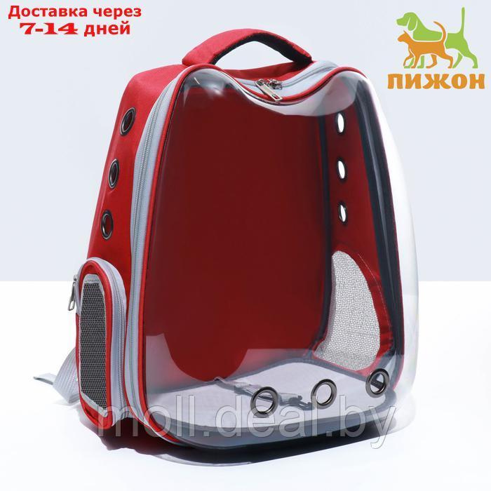 Рюкзак для переноски "Котик", прозрачный, 32 х 28 х 42 см, красный - фото 1 - id-p222992656