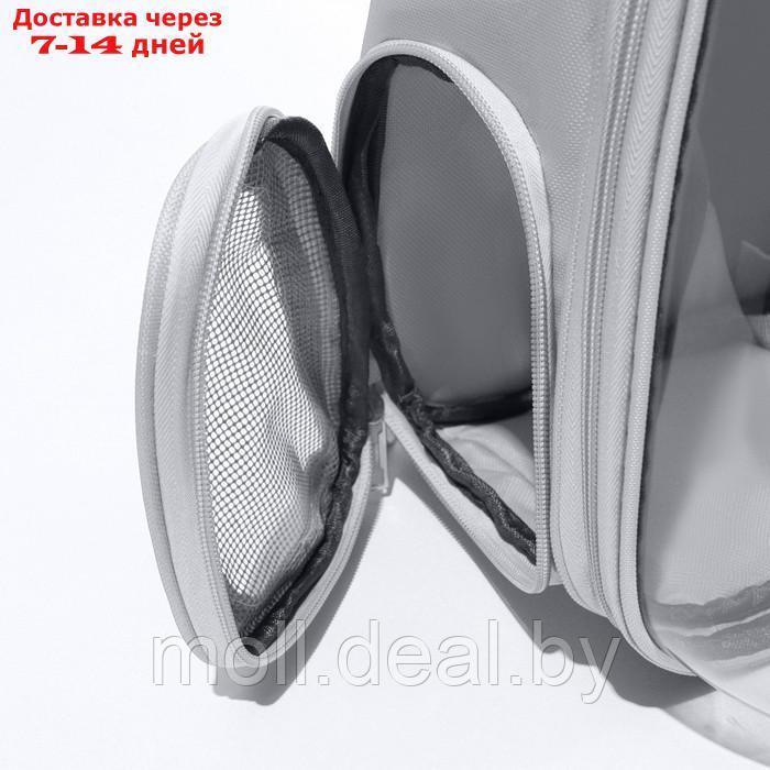 Рюкзак для переноски "Котик", прозрачный, 32 х 28 х 42 см, серый - фото 2 - id-p222992662