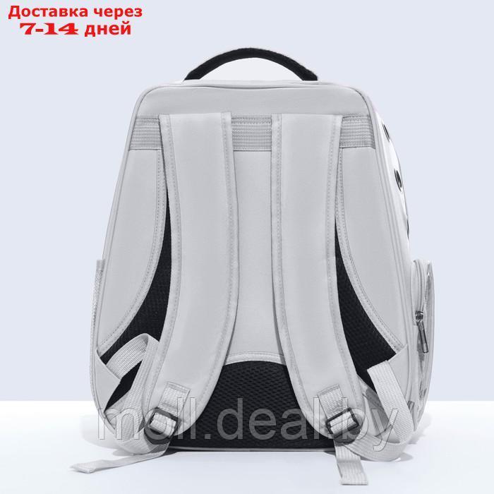 Рюкзак для переноски "Котик", прозрачный, 32 х 28 х 42 см, серый - фото 4 - id-p222992662