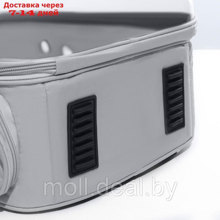 Рюкзак для переноски "Котик", прозрачный, 32 х 28 х 42 см, серый - фото 5 - id-p222992662