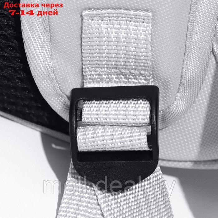Рюкзак для переноски "Котик", прозрачный, 32 х 28 х 42 см, серый - фото 10 - id-p222992662