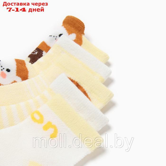 Набор детских носков 5 пар MINAKU "Lion", р-р 9-12 см - фото 2 - id-p222990789