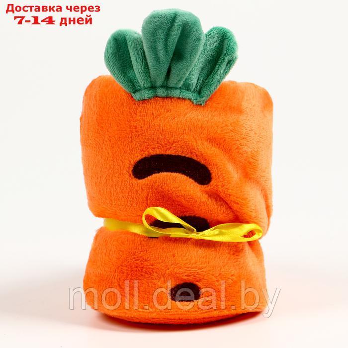 Мягкая игрушка-плед "Морковка", 20 см, цвет оранжевый - фото 1 - id-p222992722
