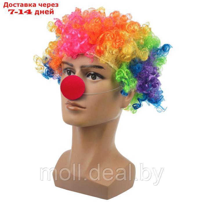 Набор клоуна: парик объёмный цветной, носик