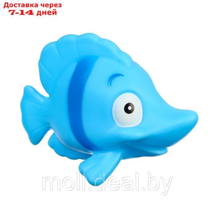 Набор игрушек для ванны "Морские рыбки №2", 4 шт, Крошка Я - фото 2 - id-p222990830