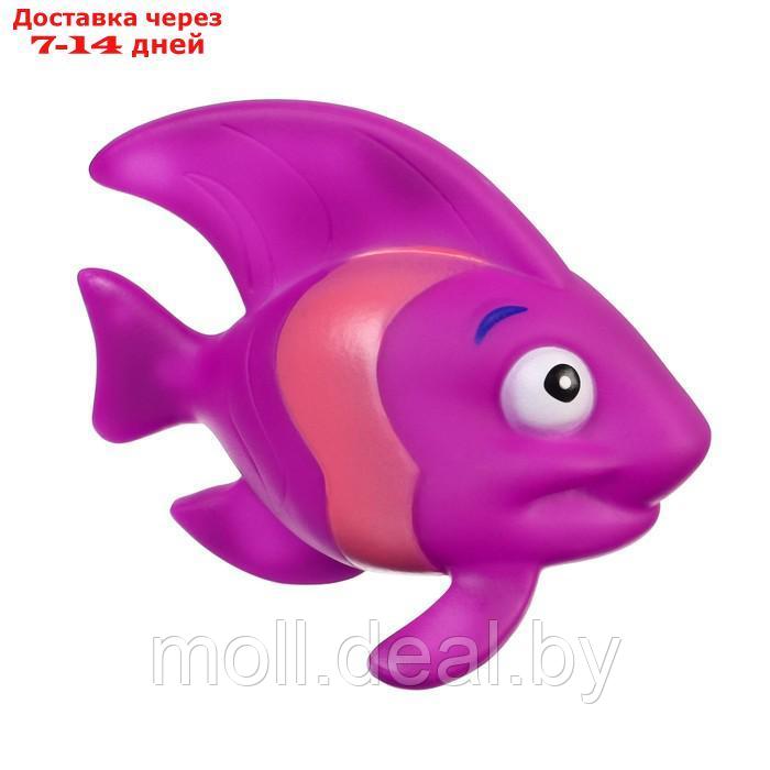 Набор игрушек для ванны "Морские рыбки №2", 4 шт, Крошка Я - фото 4 - id-p222990830