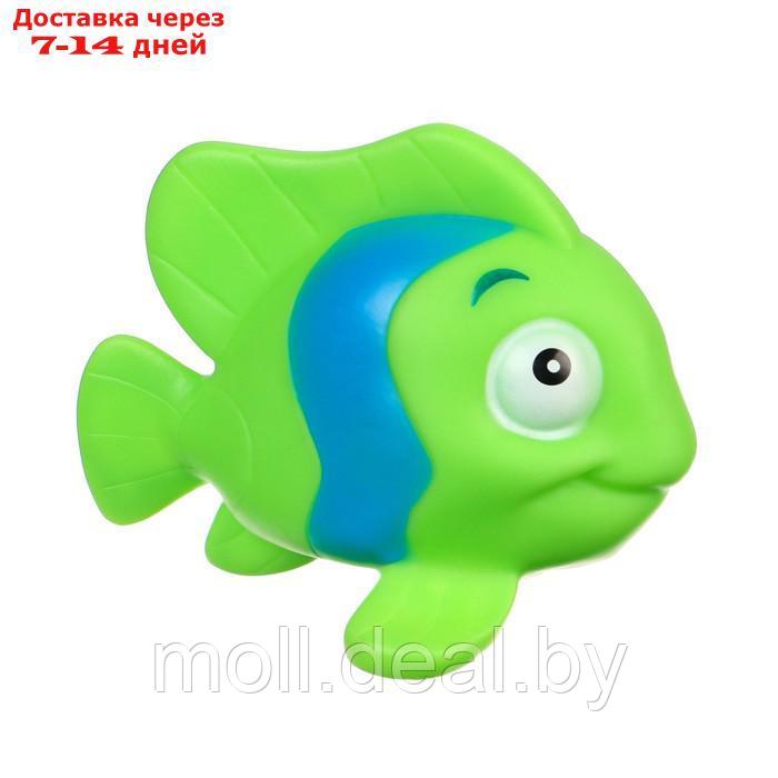 Набор игрушек для ванны "Морские рыбки №2", 4 шт, Крошка Я - фото 5 - id-p222990830