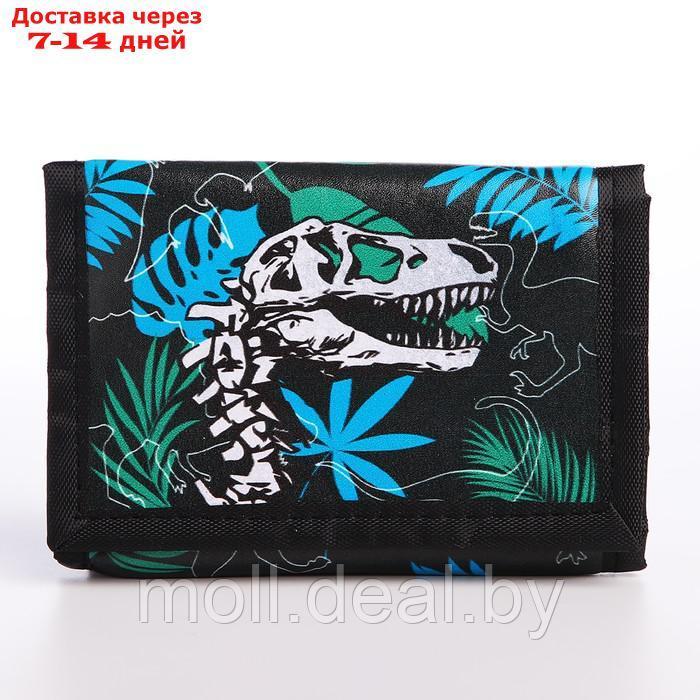 Детский подарочный набор "Динозаврик" кошелек, блокнот, ручка - фото 3 - id-p222992780