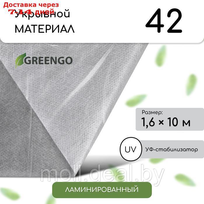 Материал укрывной, ламинированный, плотность 42, УФ, 1,6* 10м, белый