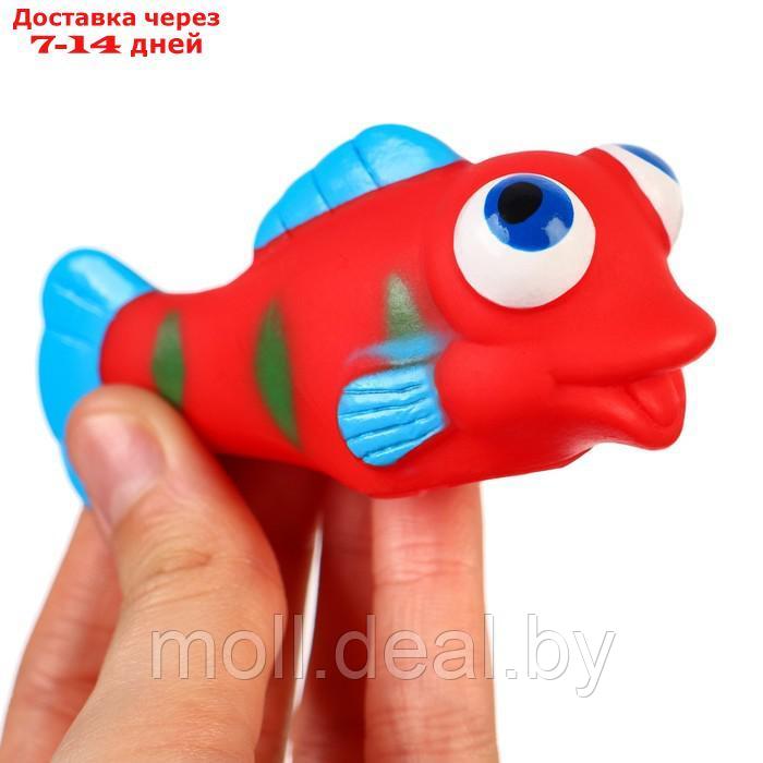 Набор игрушек для ванны "Рыбки лупоглазики", 6 шт, Крошка Я - фото 10 - id-p222990870