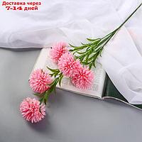 Цветы искусственные "Хризантема помпон" d-6 см 80 см, розовый