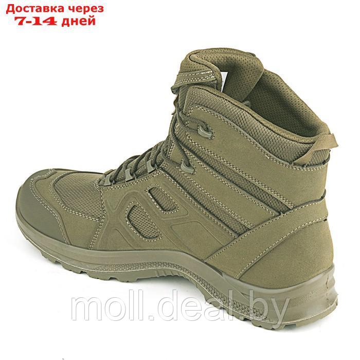 Ботинки треккинговые Elkland 188, демисезонные, цвет зеленый, размер 42 - фото 2 - id-p222991813