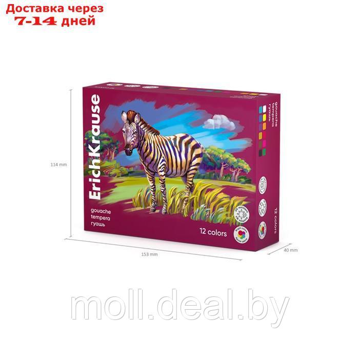 Гуашь 12 цветов х 20 мл, ErichKrause " Safari", с УФ защитой яркости, в картонной упаковке - фото 4 - id-p222990946