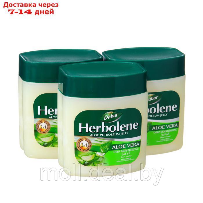 Вазелин для кожи Dabur Herbolene алоэ вера и витамин Е, увлажняющий, 3 шт по 115 мл - фото 1 - id-p222990971