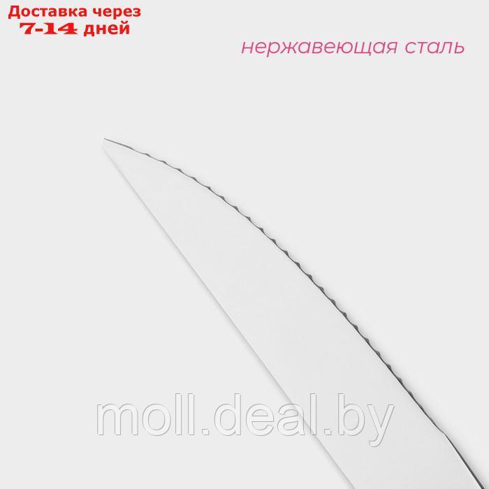 Набор ножей для стейка 3шт, 23,5 см, толщина 4 мм - фото 2 - id-p222991097